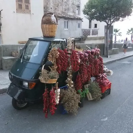 Bella Tropea