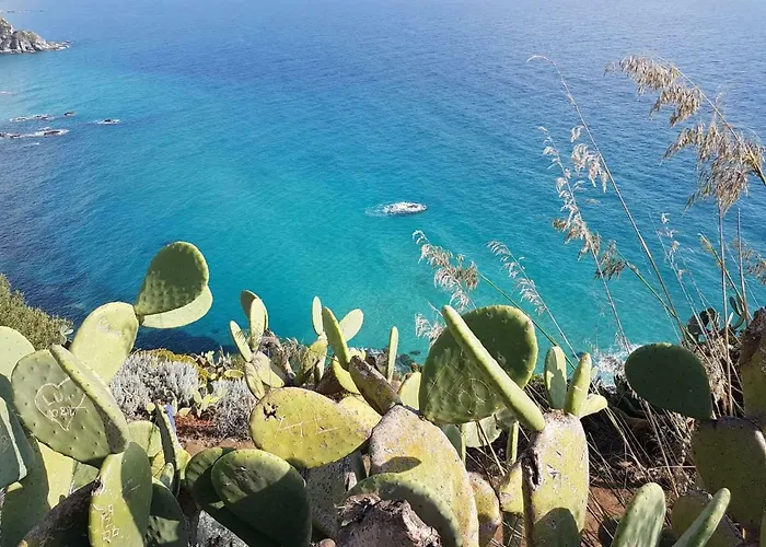 Alojamento de Acomodação e Pequeno-almoço Bella 4*